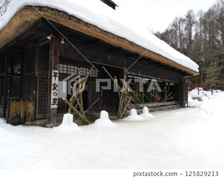 閃耀雪景的平家村 125829213