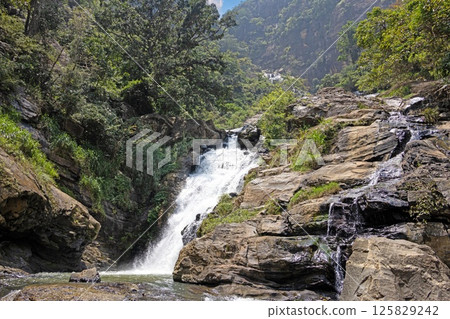 The tall Diyaluma waterfall cascades down a steep rocky slope in lush Sri Lankan highlands The tall Diyaluma waterfall cascades down a steep rocky slope in lush Sri Lankan highlands 125829242