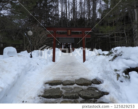 Red torii gate standing in the snow Red torii gate standing in the snow 125829253