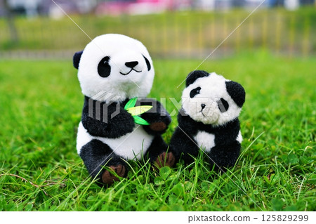 熊貓的毛絨動物 125829299