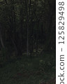 黑暗森林 125829498