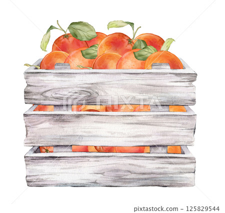 Wooden crate with fresh grapefruit. Farmer's market, healthy eating or tropical fruits theme with Citrus branches. Hand drawn watercolor illustration isolated on white background. 125829544