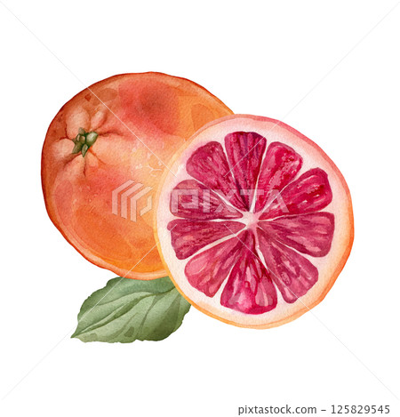 Composition with slice and whole Grapefruit with green leaf. Hand drawn watercolor illustration of orange tropical citrus fruit on white isolated background. Half grapefruit 125829545