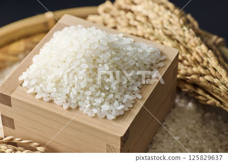 Rice served in a masu 125829637