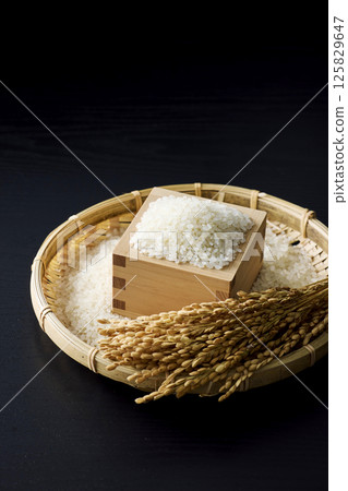 Rice served in a masu Rice served in a masu 125829647