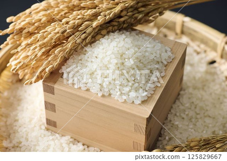 Rice served in a masu 125829667