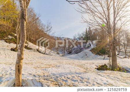 雪國之春：殘雪與新綠染成殷紅 125829759