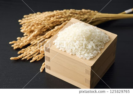 米飯放在一個方形裡 125829765