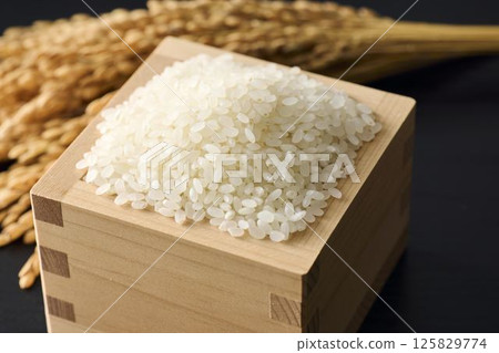 米飯放在一個方形裡 米飯放在一個方形裡 125829774