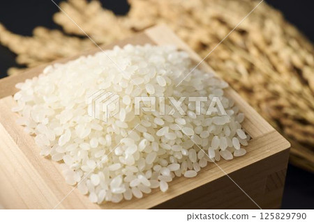 米飯放在一個方形裡 125829790