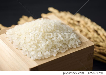 米飯放在一個方形裡 125829791