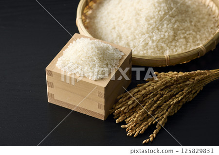 米的形象 125829831
