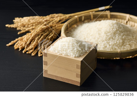 米的形象 125829836