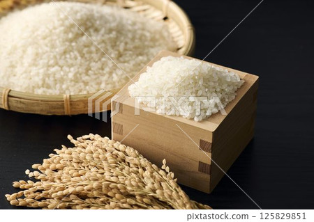 米的形象 125829851