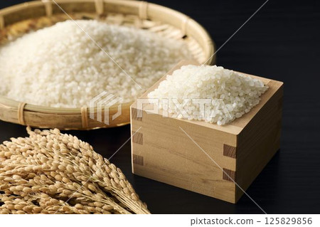 米的形象 125829856