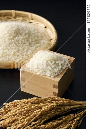 米的形象 125829862