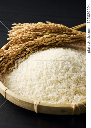 Image of rice Image of rice 125829904