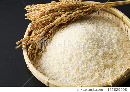 Image of rice 125829908
