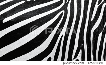 Zebra print texture 125830391