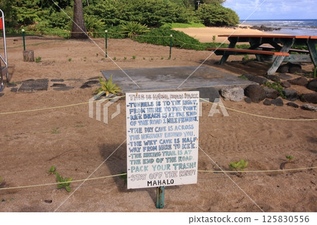 哈埃納海灘公園,考艾島 哈埃納海灘公園,考艾島 125830556