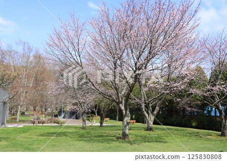 千歲市著名水上樂園 125830808