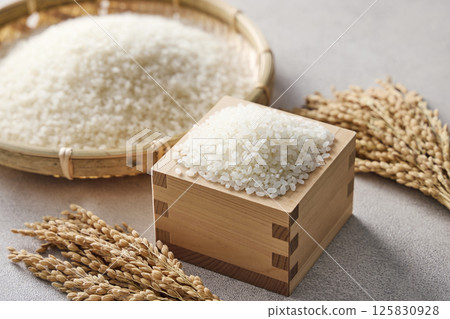 米飯放在一個方形裡 米飯放在一個方形裡 125830928