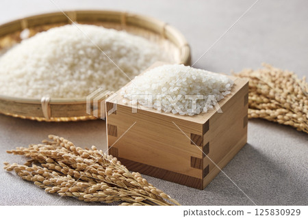 米飯放在一個方形裡 米飯放在一個方形裡 125830929