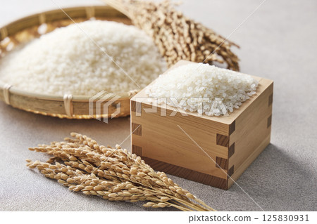 米飯放在一個方形裡 125830931