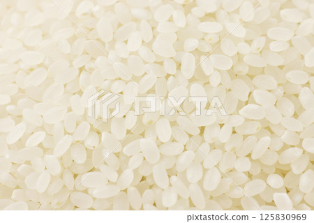 水稻特寫 125830969