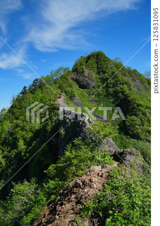 螞蟻穿越戸隠山 螞蟻穿越戸隠山 125831095