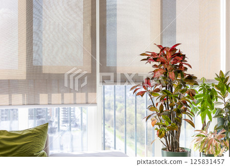 Roller shades with sunscreen material 125831457