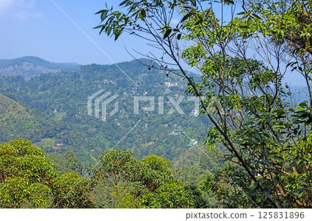 View of Ella town through lush vegetation from Adams Peak 125831896