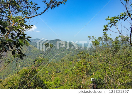 View of Ella town through lush vegetation from Adams Peak 125831897