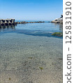 淡路島西海岸 125831910