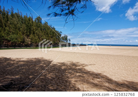 Lumahai Beach, Kauai 125832768