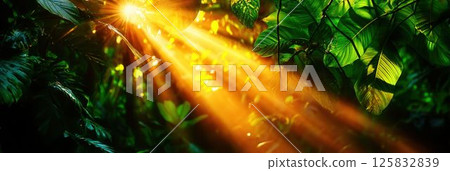 Sunlight Filtering Through Dense Greenery in a Lush Tropical Forest Scene 125832839