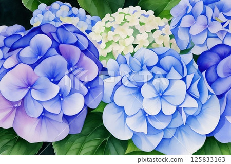 繡球花插圖 125833163