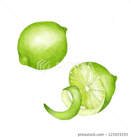 Lime with peeled skin, hand drawn illustration of half and fresh green lime Lime with peeled skin, hand drawn illustration of half and fresh green lime 125833293