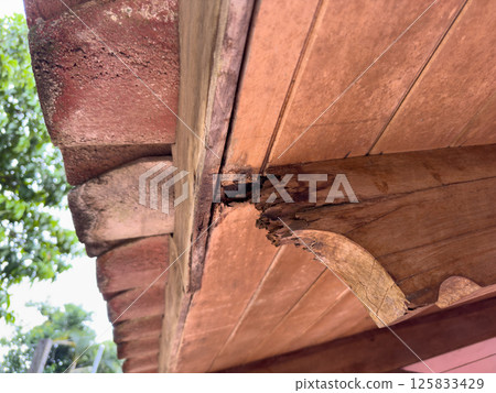 Damaged wooden roof beam Damaged wooden roof beam 125833429
