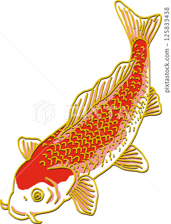 Red carp_downward 125833438