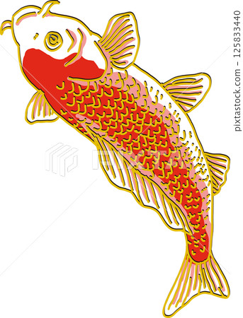紅鯉魚_向上攀爬 125833440