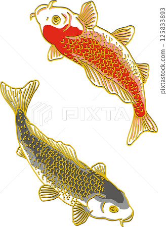 兩條鯉魚_黑鯉朝下_紅鯉朝上 125833893