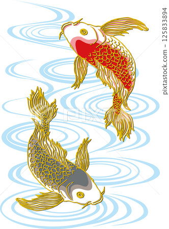 兩條鯉魚_水面_黑鯉朝下_紅鯉朝上_魚鰭 兩條鯉魚_水面_黑鯉朝下_紅鯉朝上_魚鰭 125833894