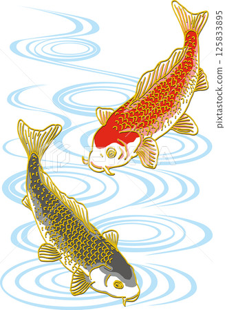 兩條鯉魚_水面_黑鯉朝下_紅鯉朝上 125833895