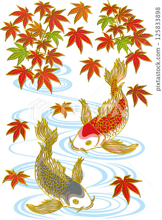 紅楓與兩條鯉魚_水面_黑鯉朝下_紅鯉朝下_扁平的魚鰭 125833898