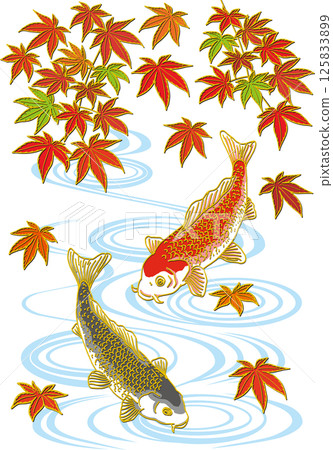 紅楓與兩條鯉魚_水面_黑鯉朝下_紅鯉朝下 125833899