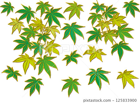 Fresh green maple leaves Fresh green maple leaves 125833900