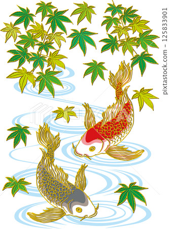 Fresh green maple tree and two carp_Water surface_Black carp facing downward_Red carp facing downward_Gorgeous fins Fresh green maple tree and two carp_Water surface_Black carp facing downward_Red carp facing downward_Gorgeous fins 125833901