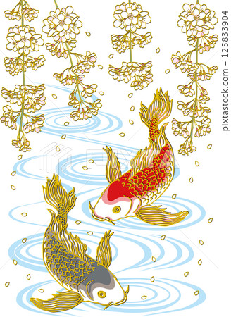 Weeping cherry blossom and two carp_Water surface_Black carp facing downward_Red carp facing downward_Gorgeous fins 125833904