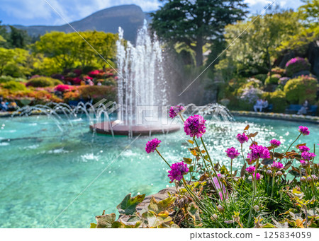 箱根強羅公園噴泉池春花盛開 125834059